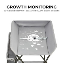 Teknum 4-in-1 Diaper Changing Table Organizer - Grey For 0-12Months, Unisex (TK_BCTA_DGY)