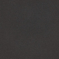 Prestige Concave Tawa, 25 cm, Black For Kitchen use (PR15856)