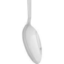 Winsor 2724643695888 Sparkle 18/10 Stainless Steel Serving Spoon,Silver