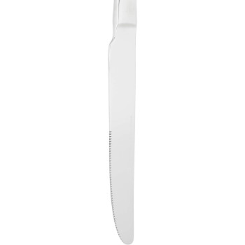 Winsor Sparkle 18/10 Stainless Steel Table Knife - Silver