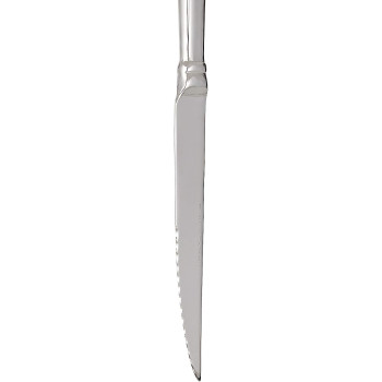 Winsor 2724467015053 Stainless Steel Steak Knife
