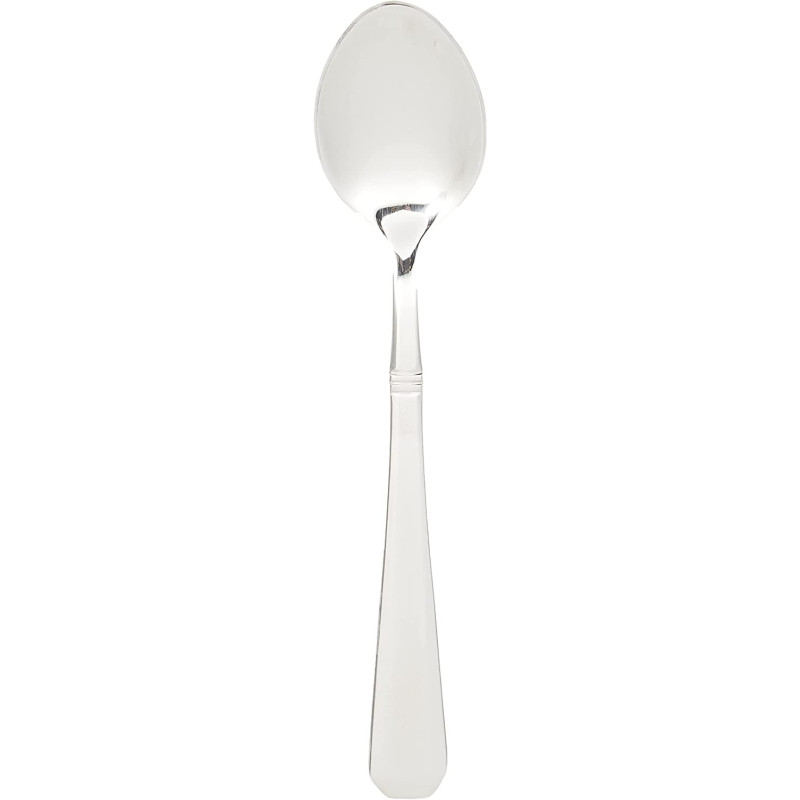 Winsor 2724645619172 Stainless Steel 18/10 Tea Pilla Spoon,Silver