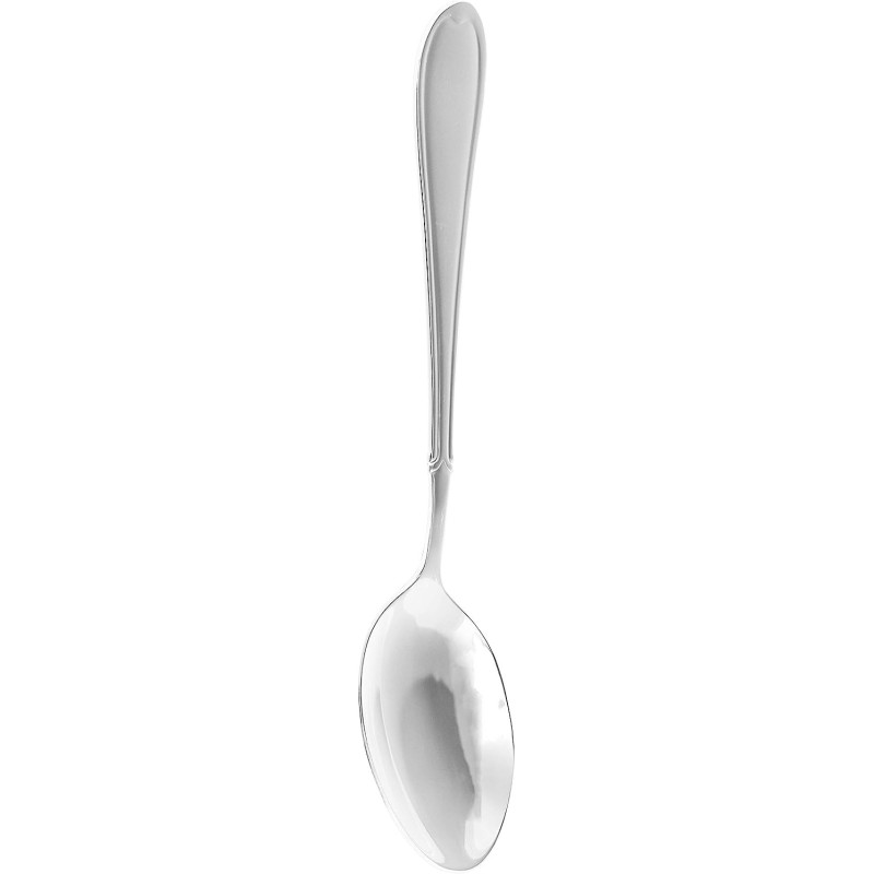 Winsor 18/10 Stainless Steel Serving Spoon Proud,Silver