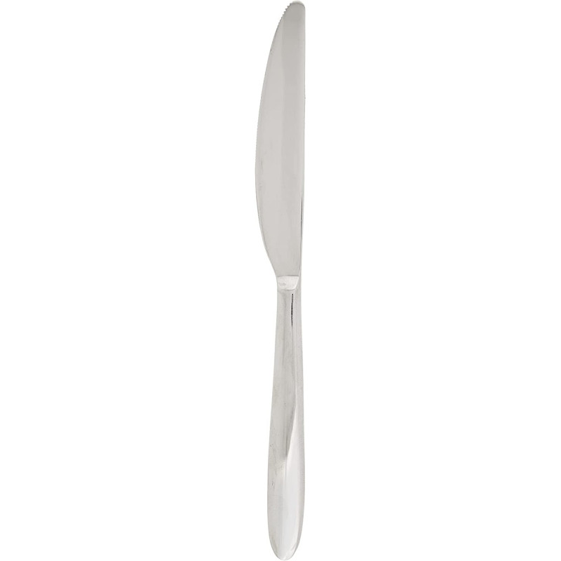 Winsor St. Steel Dessert Knife