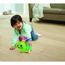 Vtech 2 In 1 Push And Discover Turtle