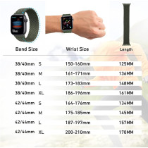 Promate Solo Loop Nylon Braided Strap For Apple Watch With Secure Fit For Apple Watch Series 1,2,3,4,5,6, Se, Inverness Green
