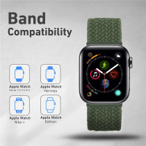 Promate Solo Loop Nylon Braided Strap For Apple Watch With Secure Fit For Apple Watch Series 1,2,3,4,5,6, Se - Inverness Green
