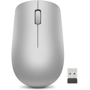Lenovo 530 Wireless Mouse (Platinum Grey) With Battery Gy50Z18984