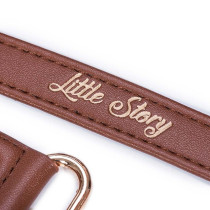 Little Story Premium Stroller Hooks - Brown For All ages, Unisex (LS_HK2_BR)