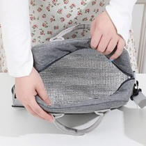 Eazy Kids Insulated Lunch Bag- Grey For All Ages, Unisex (EZ_LB01_GY)