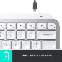 Logitech MX Keys Mini Minimalist Wireless Illuminated Keyboard, Compact, Bluetooth, Backlit, USB-C, Compatible with Apple macOS, iOS, Windows, Linux, Android, Metal Build - Pale Gray