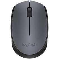 Logitech M171 Wireless Mouse For Windows, Mac And Chrome; 2.4 Ghz Wireless Connectivity, Plug-And-Play Connection, 12-Month Battery Life; Comfortable And Mobile; Grey, Silver, 910-004425, M170