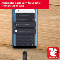 Sandisk 128Gb Ultra Dual Drive Go USb Type C Flash Sdddc3 128G G46, Black, C, G46