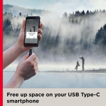 Sandisk 128Gb Ultra Dual Drive Go USb Type C Flash Sdddc3 128G G46, Black, C, G46