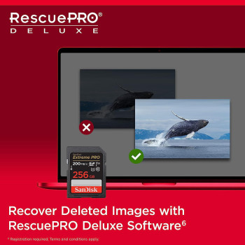SanDisk 256GB Extreme PRO SDXC card + RescuePRO Deluxe, up to 200MB/s, UHS I, Class 10, U3, V30 SDSDXXD 256G GN4IN, Black