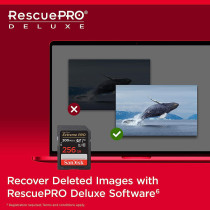 SanDisk 256GB Extreme PRO SDXC card + RescuePRO Deluxe, up to 200MB/s, UHS I, Class 10, U3, V30 SDSDXXD 256G GN4IN, Black