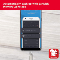 SanDisk 128GB Ultra Dual Drive Luxe USB Type-C - SDDDC4-128G-G46, Silver