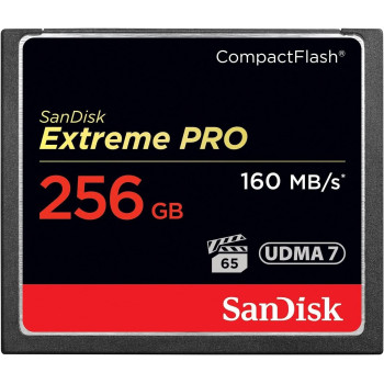 SanDisk Extreme Pro 256 GB 160 MB/s CompactFlash Memory Card - Black/Gold/Red
