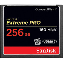 SanDisk Extreme Pro 256 GB 160 MB/s CompactFlash Memory Card - Black/Gold/Red