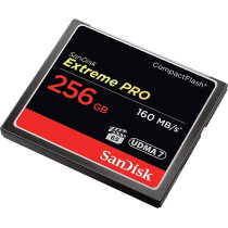 SanDisk Extreme Pro 256 GB 160 MB/s CompactFlash Memory Card - Black/Gold/Red
