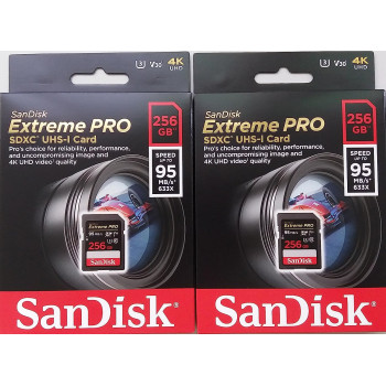 Sandisk 256Gb Extreme Pro Sdxc Memory Card Up To 95 Mb/S, Class 10, U3, V30-Sdsdxxg-256G-Gn4In