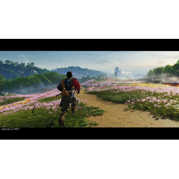 Playstation Ghost Of Tsushima Director's Cut (PS5)