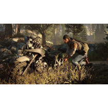 Playstation Days Gone Standard Edition (PS4) - UAE NMC Version