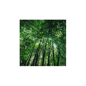 Nooboo Luxe Bamboo Mom Singlet Black - S