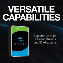 Seagate SKYHAWK - AI 10TB 7200rpm 256MB External Hard Drive