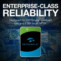 Seagate SKYHAWK - AI 10TB 7200rpm 256MB External Hard Drive