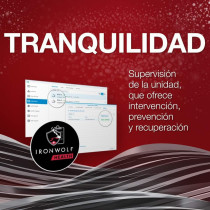 Seagate IronWolf ST6000VN001 Hard Drive (6 TB, 8.9 cm (3.5 Inches) internal, SATA (SATA/600), supported storage system, 7200 rpm, 256 MB buffer)