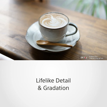 SONY FE 50mm F1.8 Compact Lightweight E Mount Camera  Lens With Beautiful Dedofusing Bokeh Compatible with Full Frame and APS C Camera SEL50F18F, Black, Lens Only