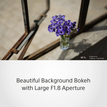 SONY FE 50mm F1.8 Compact Lightweight E Mount Camera  Lens With Beautiful Dedofusing Bokeh Compatible with Full Frame and APS C Camera SEL50F18F, Black, Lens Only