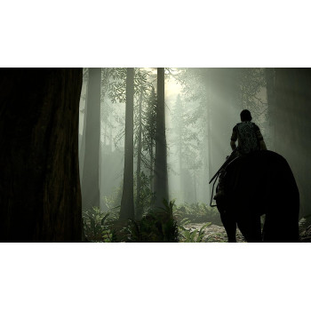 SONY Shadow Of The Colossus - PlayStation 4