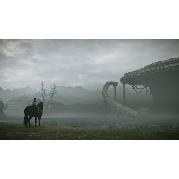 SONY Shadow Of The Colossus - PlayStation 4