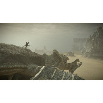 SONY Shadow Of The Colossus - PlayStation 4