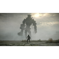 SONY Shadow Of The Colossus - PlayStation 4