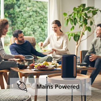 SONY Wireless Multi-Room Speaker - Black