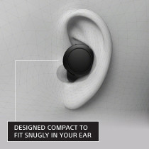 SONY WF-C500 Truly Wireless In-Ear Bluetooth Earbud Headphones With Mic And IPX4 Water Resistance, Black