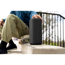 SONY SRS XE300 X Series Wireless Portable Bluetooth Speaker, IP67 Waterproof, Dustproof And Shockproof With 24 Hour Battery, Black, SRSXE300/B
