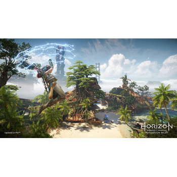 SONY Horizon: Forbidden West PlayStation 5 - PS5, 23871