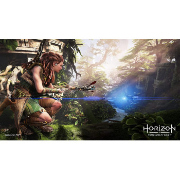 SONY Horizon: Forbidden West PlayStation 5 - PS5, 23871
