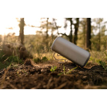 SONY SRS XE200 X Series Wireless Ultra Portable Bluetooth Speaker, IP67 Waterproof, Dustproof And Shockproof With 16 Hour Battery And Easy To Carry Strap, Black, SRSXE200/B