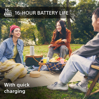 SONY SRS-XE200 - Portable Wireless Bluetooth Speaker With Wide Sound And Strap - Waterproof, Shockproof, 16 Hours Battery Life And Quick Charging - Light Grey, One Size