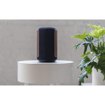 SONY SRS-RA3000 360 Reality Audio Wi-Fi/Bluetooth Wireless Speaker, Works With Alexa And Google Assistant, Black
