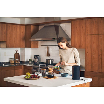 SONY SRS-RA3000 360 Reality Audio Wi-Fi/Bluetooth Wireless Speaker, Works With Alexa And Google Assistant, Black