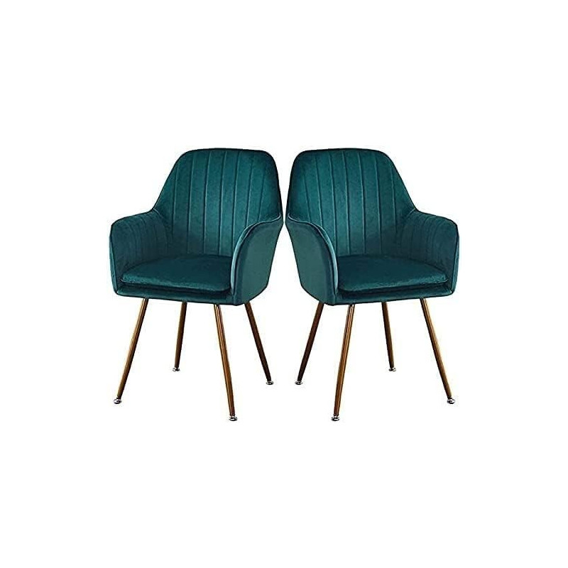 BINZII Dining Chairs Set For Dining Kitchen Or Shop, Kitchen Velvet Dining Chair Set Of 2 Kitchen Dining Room Chair Living Room High Back Armchair With Metal Legs Velvet Seat (Colour : Green)