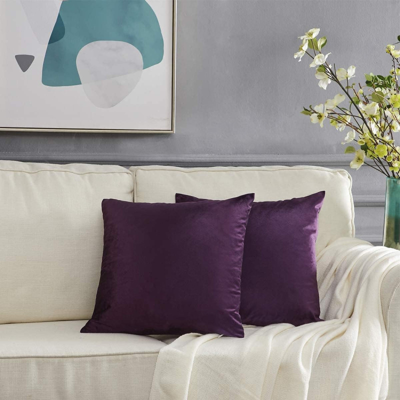 Home Liwa Decorative Velvet Zippered Throw Pillow Covers With Pillow Insert For Sofa Couch Bed, Can, Set Of 2, Luxury Soft Cushion Cases With Pillow Insert (40X40 Cm, Purple)