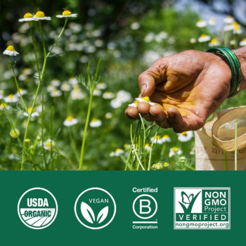 Organic India Ashwagandha Herbal Supplement - Vegan, Gluten-Free, Kosher, Usda Certified Organic, Non-Gmo, Supports Mood, Endurance, Vitality and Strength - 90 Capsules