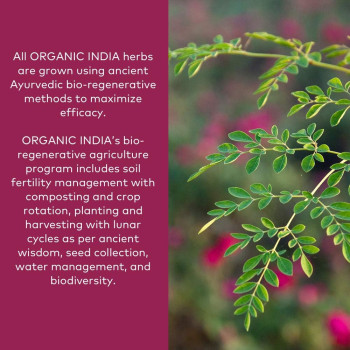 Organic India Shatavari Herbal Supplement, 90 Capsules